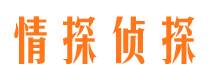 册亨侦探公司